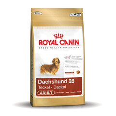 Royal Canin Dachshund 28 Adult 7,5 kg.