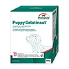 Primeval Primeval Hond Puppy Gelatinaat 350 gr.