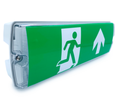 Illuminazione di emergenza da 5,5 watt OTG-DD-4