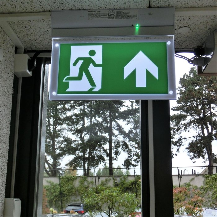 Illuminazione di emergenza con perno OTG-FF