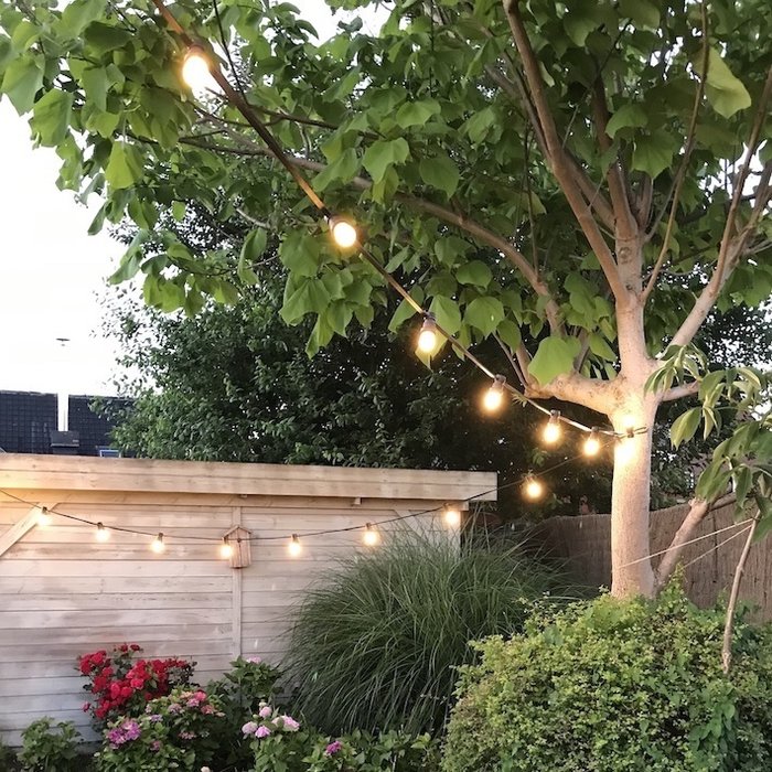 Lampadine a filamenti LED a luce bianca calda, dimmerabile - 3 watt