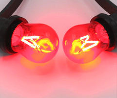 Filamenti da 3,5 watt dimmerabili, rosso
