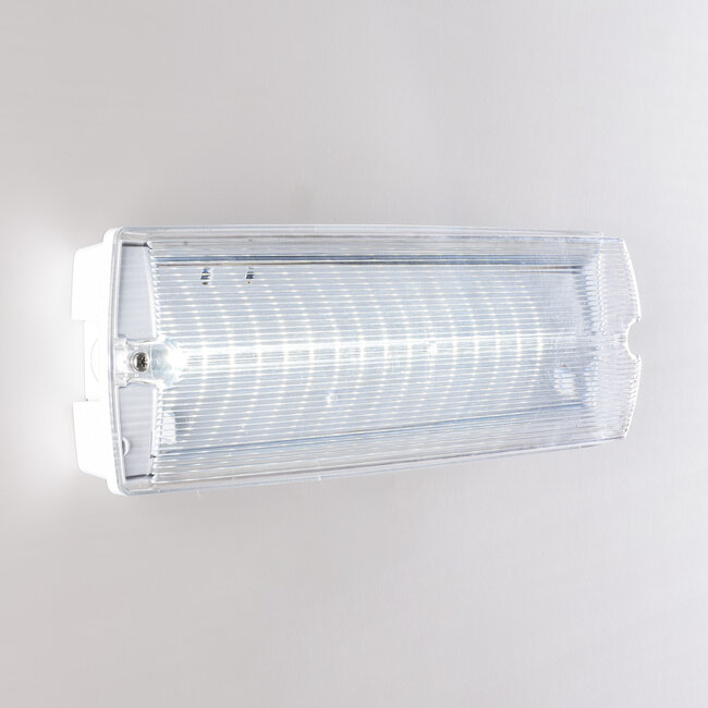 Illuminazione di emergenza da 3 watt con copertura trasparente, serie OTG-KL