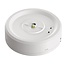 Illuminazione di emergenza faretto a superficie da 2,8 watt con autotest
