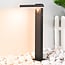 Zwarte staande solar buitenlamp met sensor Paulo , 50 cm