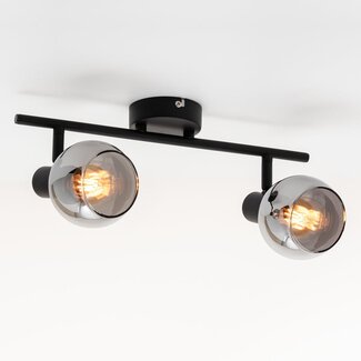 Plafoniera a 2 luci Phoenix - vetro fumé con effetto specchio