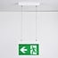 Illuminazione di emergenza a superficie, montaggio a soffitto con sospensione