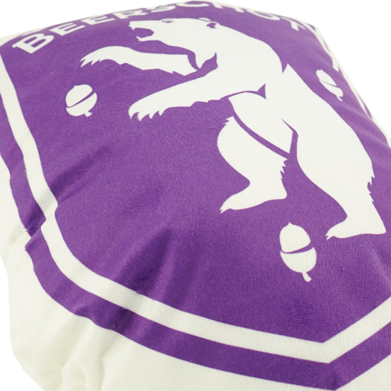 Beerschot 3D coussin logo