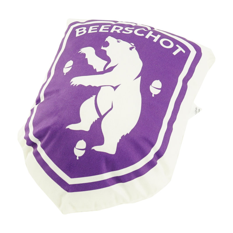 Beerschot 3D kussen logo