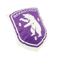 Beerschot 3D kussen logo