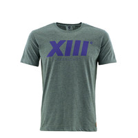 Beerschot T-shirt XIII Grey