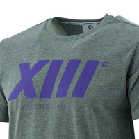 Beerschot T-shirt XIII Grijs