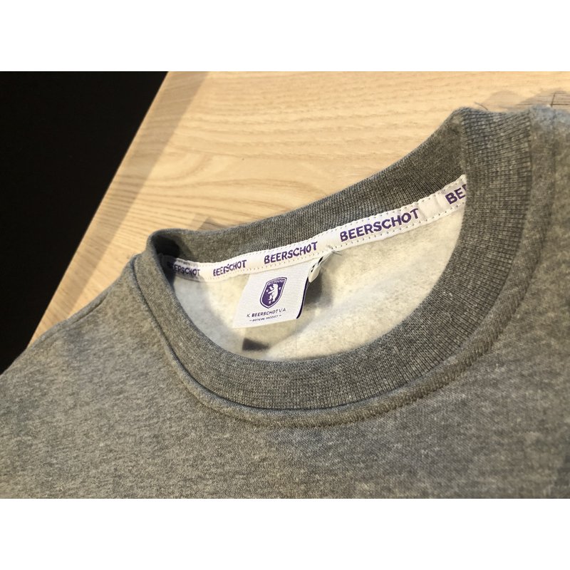Beerschot Pull Casual Ours Gris