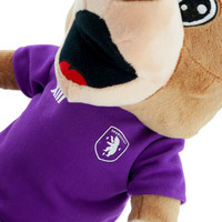 Beerschot Teddybear Beerschot big