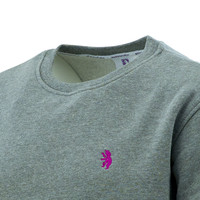 Beerschot Pull Casual Ours Gris