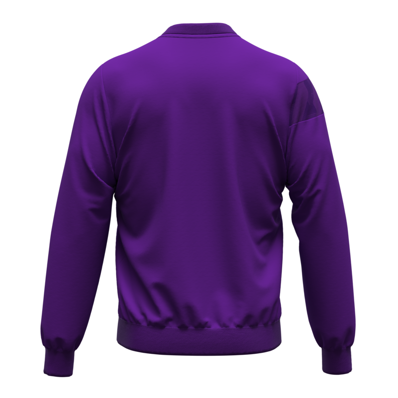 ERREA 24-25 | Beerschot | Sweater | Training | Preston | Violet