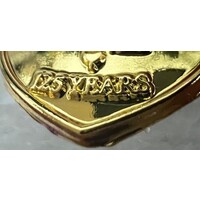 Beerschot Pin 1255