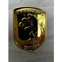 Beerschot Pin 1255
