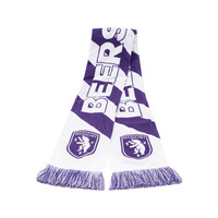 Beerschot Écharpe - Rayures obliques