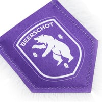 Beerschot Pennant small 8x10cm