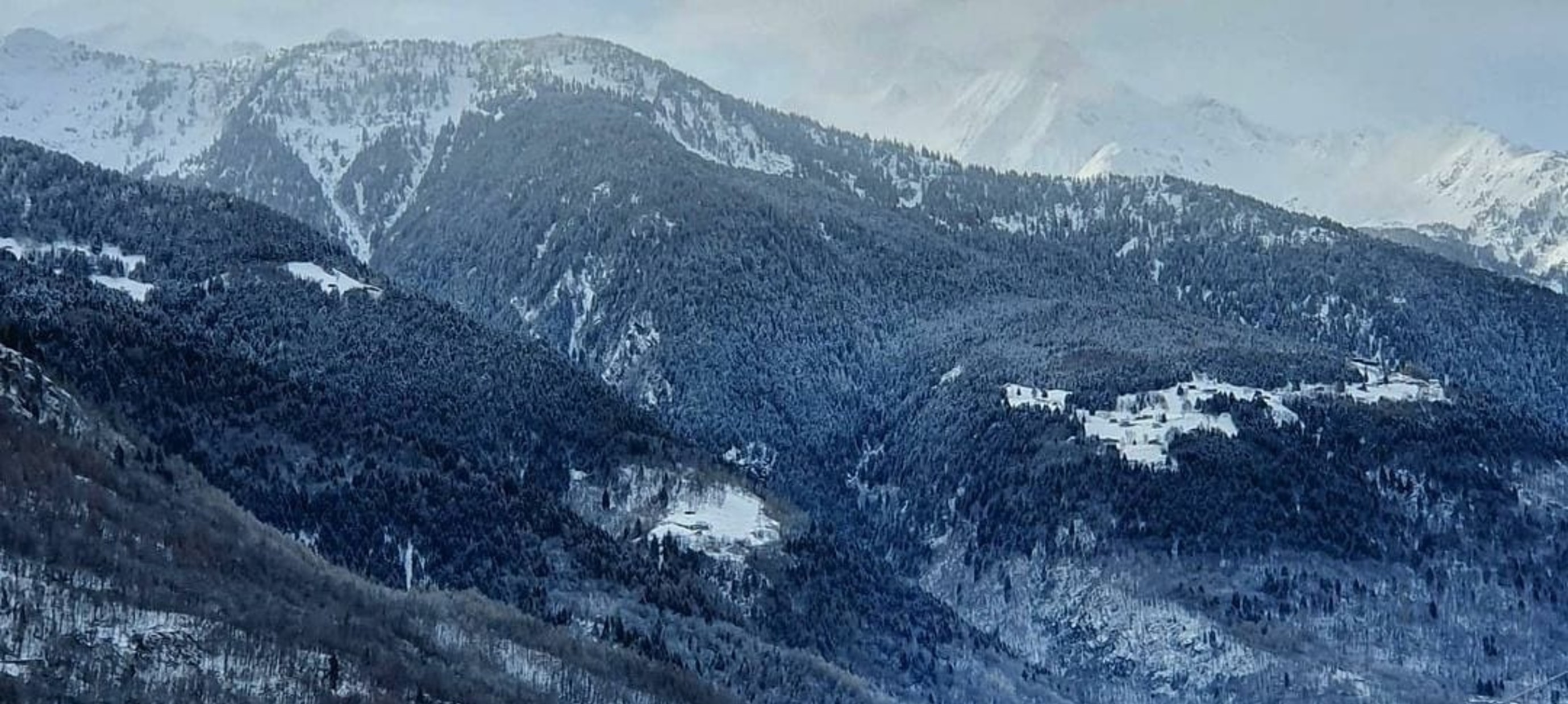 Nebbiolo wijnen uit de Alpen: Valtellina!