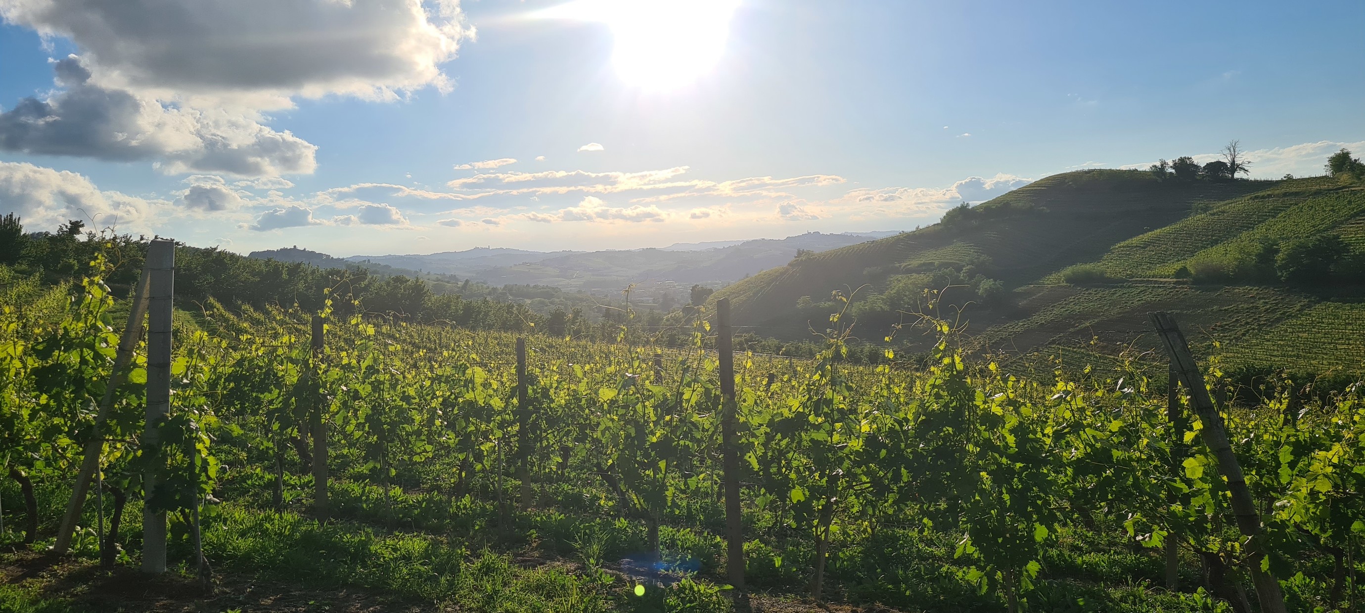 'Piemonte is een goed bewaard geheim'