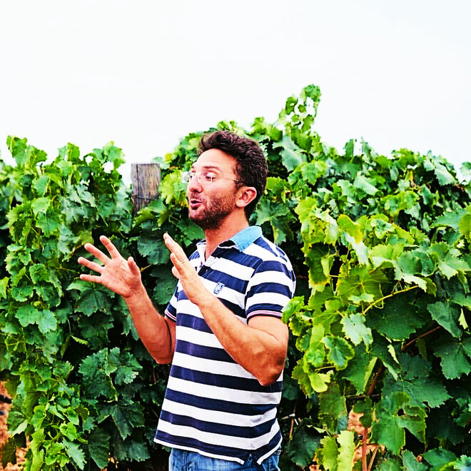 Vigna Il Castagno Tasting Case