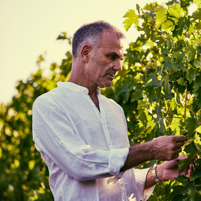 Montali Tasting Case (Abruzzo)
