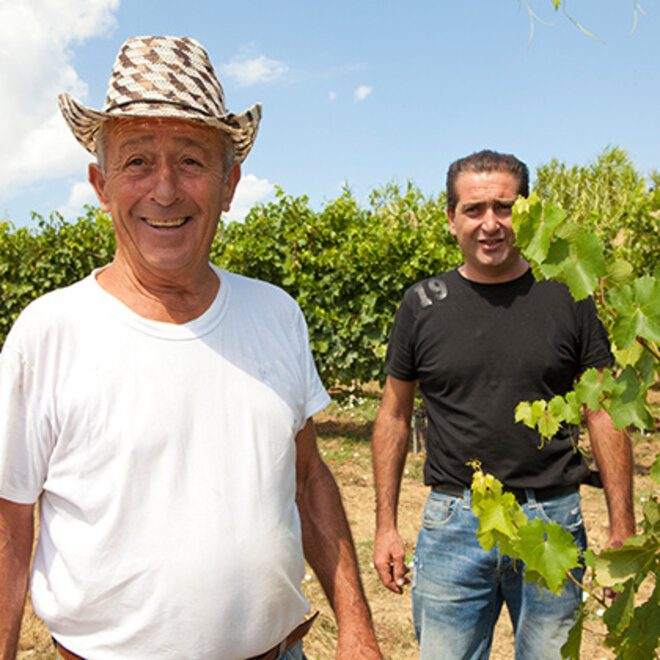 Cimarelli Tasting Case (Le Marche)