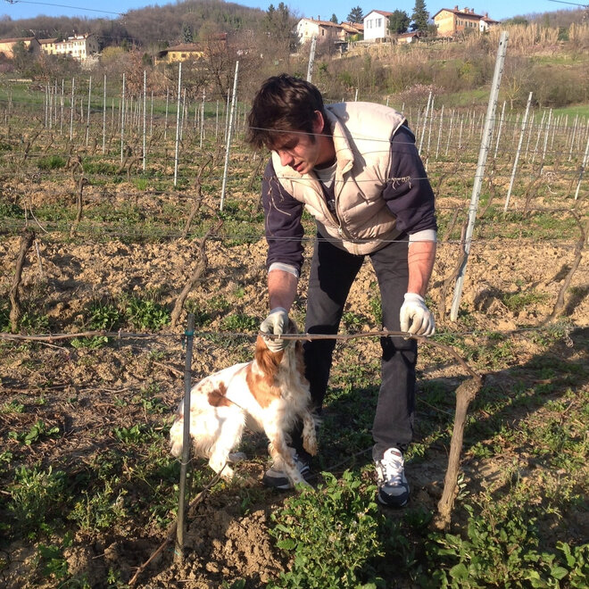 Garoglio Davide Tasting Case (Piedmont)