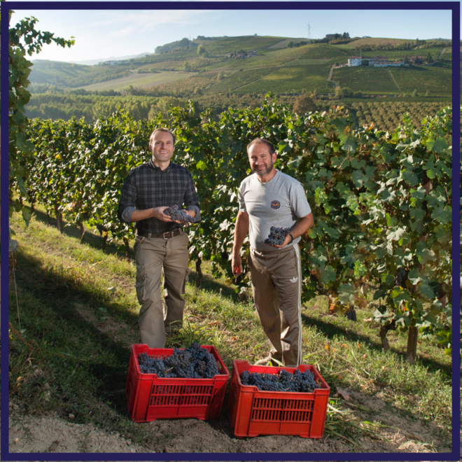 Francone Tasting Case