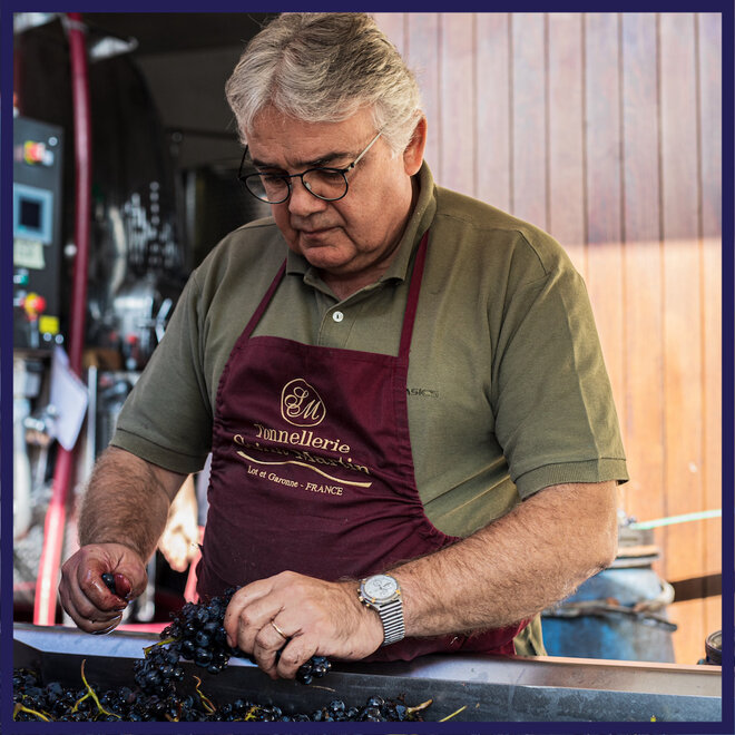 Mauro Sebaste Tasting Case