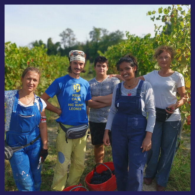 Cordara tasting pack