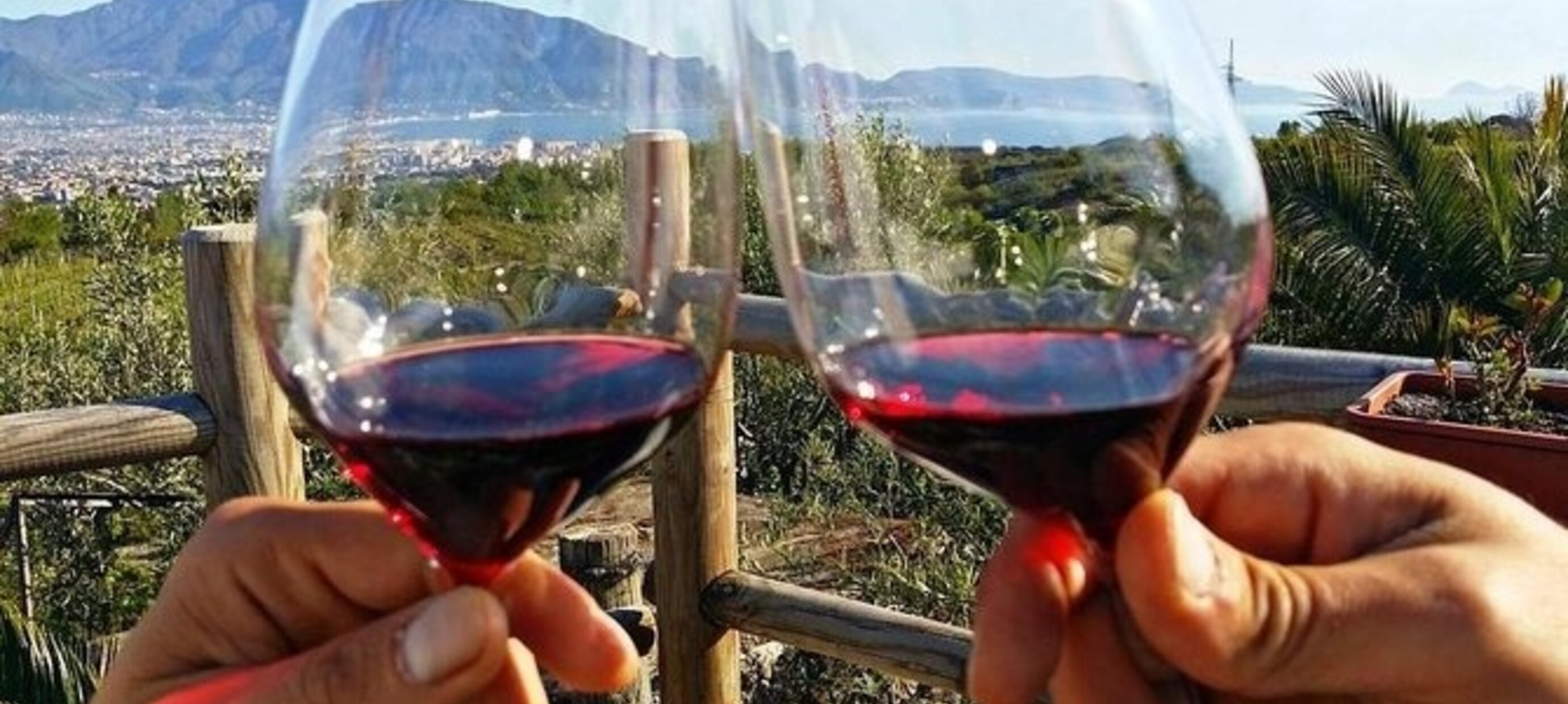 De bekendste druifsoorten van de Vesuvius uit Campania!