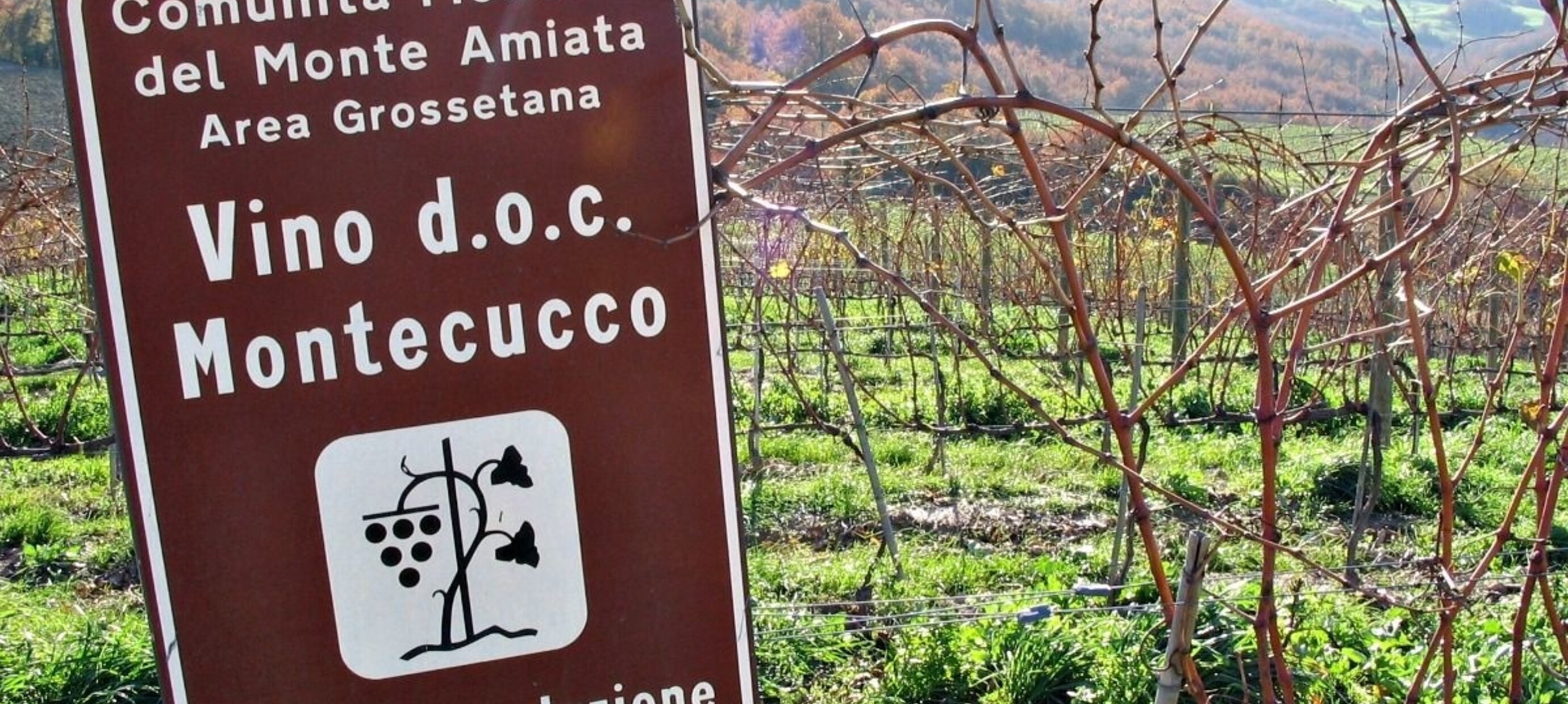 Ontdek de heerlijke wijnen van Montecucco: een Toscaanse schat