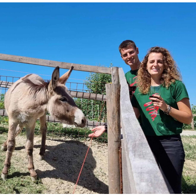 Agnelli Viassone Tasting Case