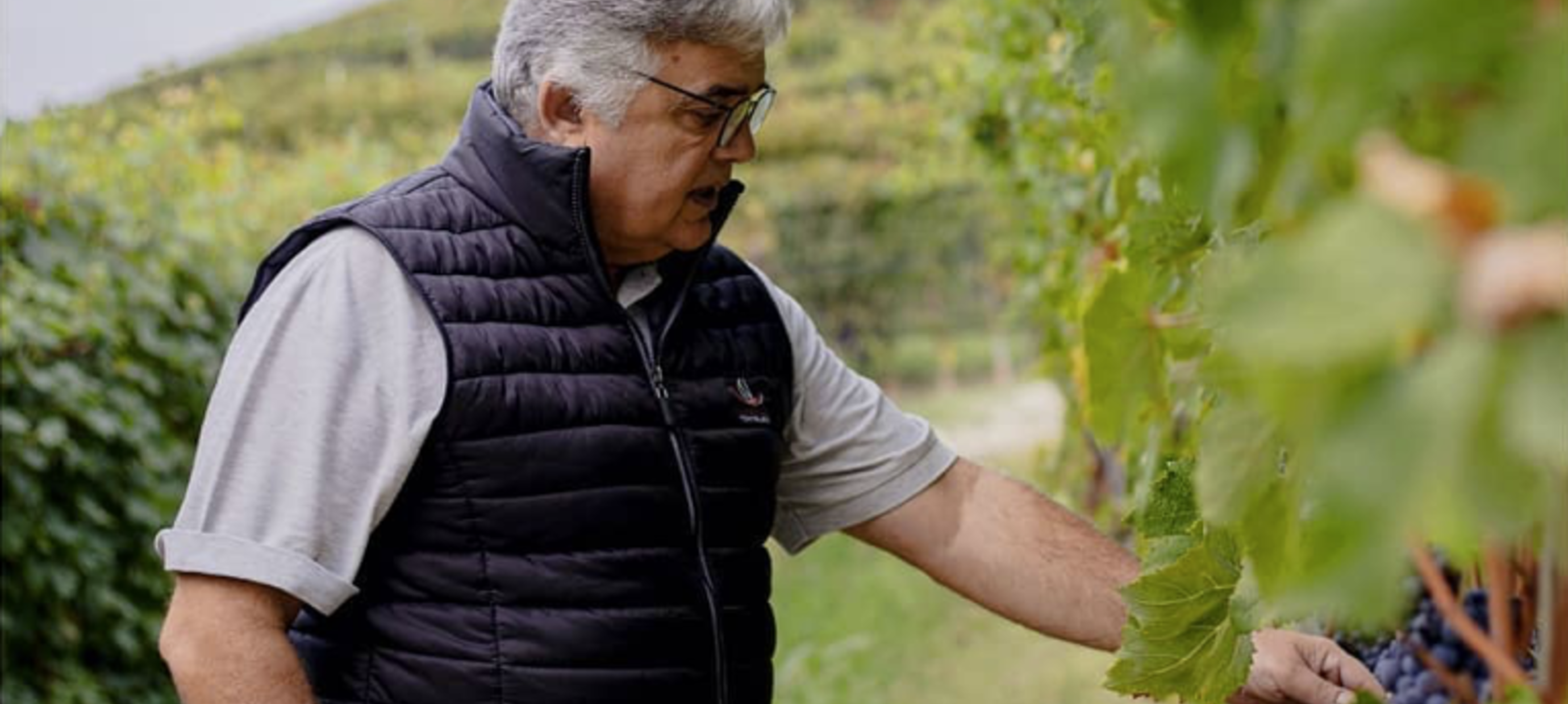 Mauro Sebaste, een boutique winery in het hart van de Piemonte