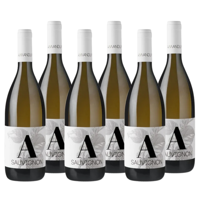Sauvignon Blanc DOP Friuli Isonzo