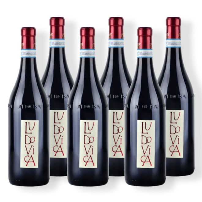 Ludovica' Langhe Rosso