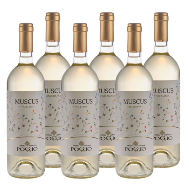'Muscus' Dry Moscato d'Asti DOC