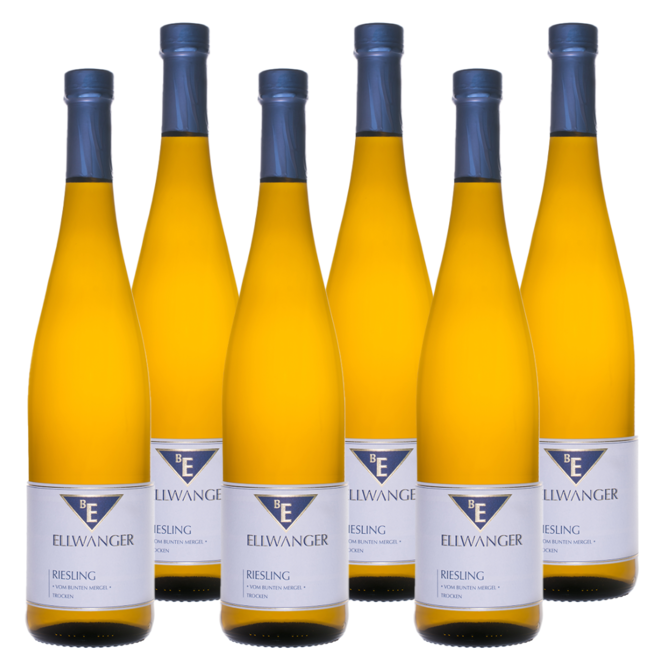 Riesling 'Vom Bunten Mergel' Trocken