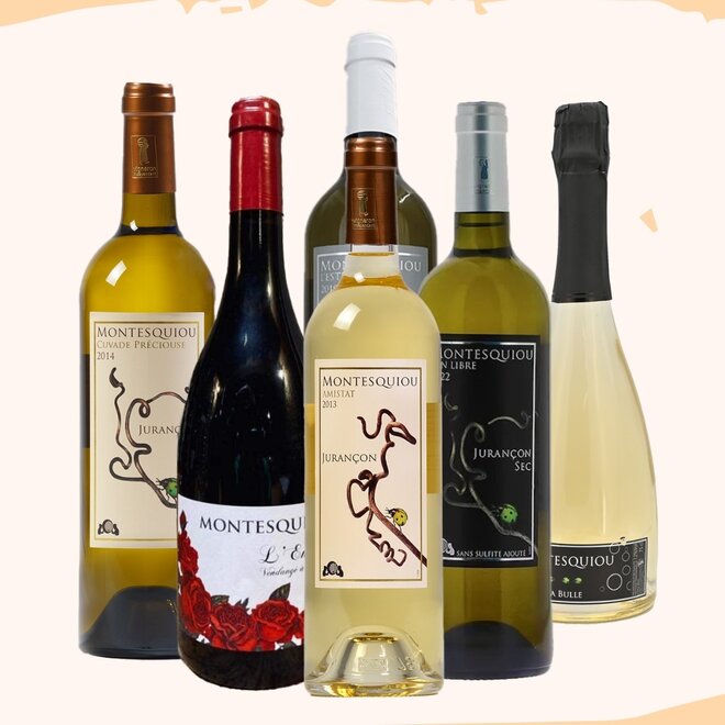 Domaine Montesquiou Tasting Case