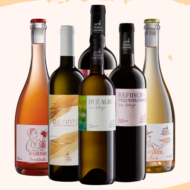 Terre Grosse Tasting Case