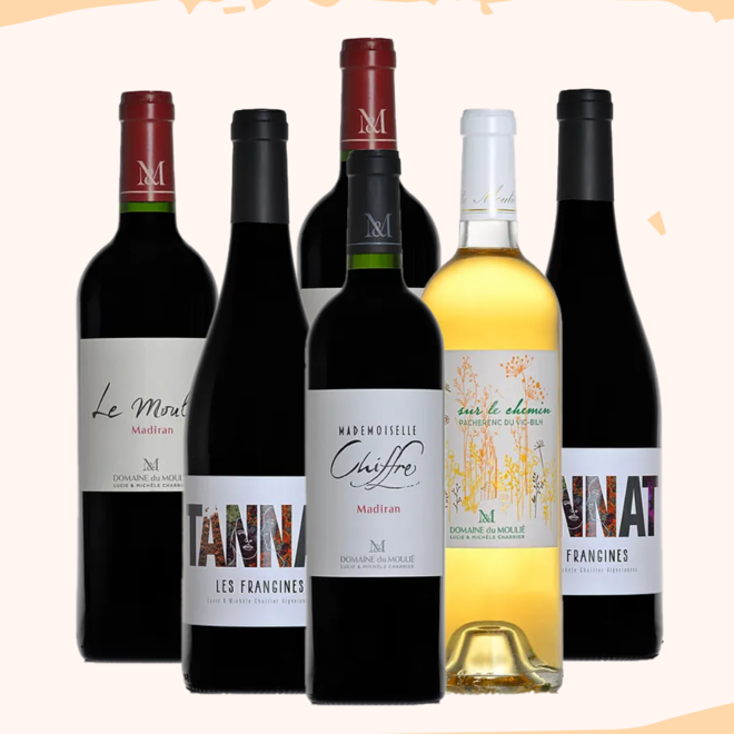 Sud-Ouest Wein - Du Moulié Probierpaket