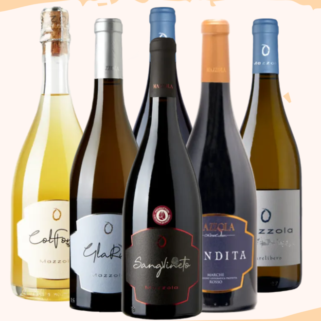 Mazzola Tasting Case