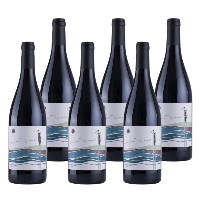 'Les Vigneronnes' - Limited edition - Rouge