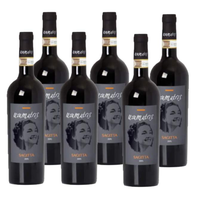 ‘Sagitta’ Barbera d'asti Superiore DOCG