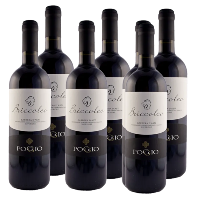 Briccoleo' Barbera d'Asti Superiore