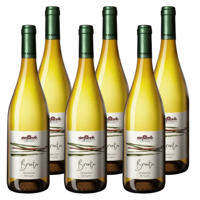 'Brenta' Breganze Vespaiolo DOC 2020 Vintage