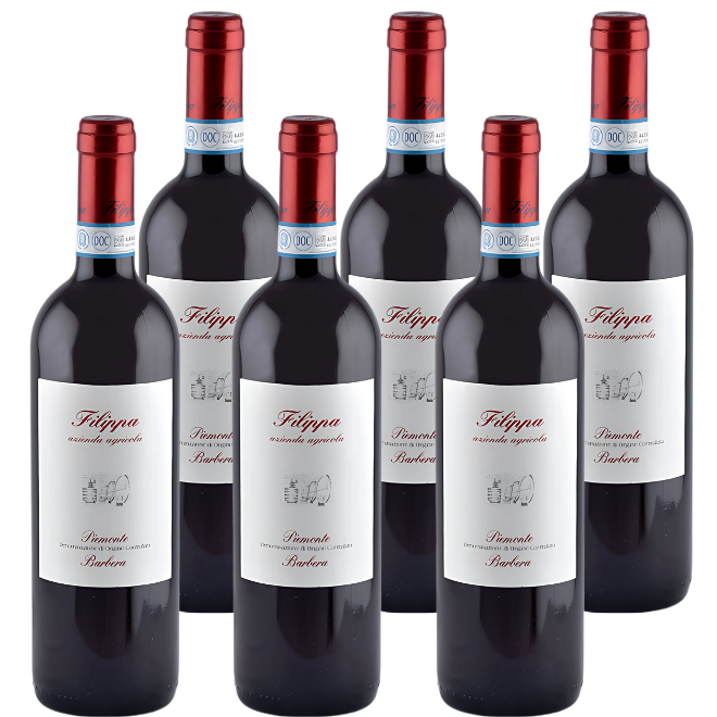 Piemonte DOC Barbera 2024